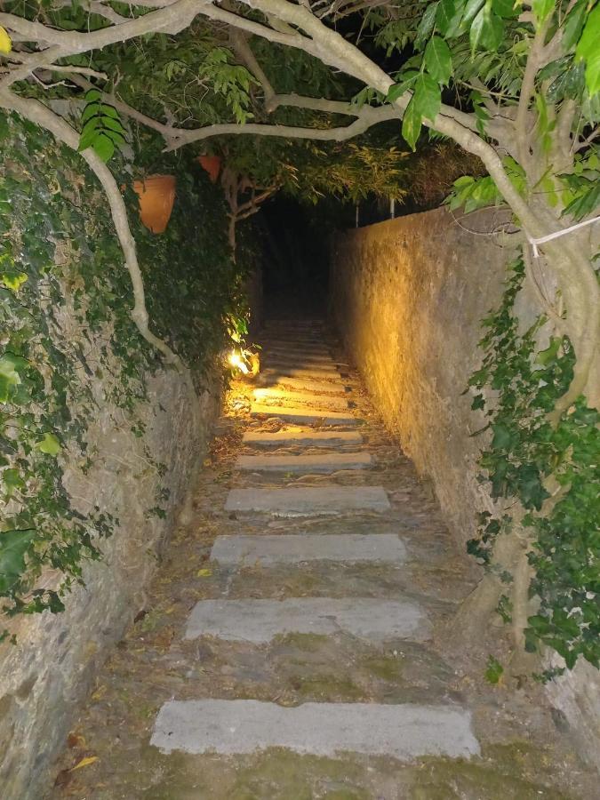فندق Casa Vila Palmeira Fermela المظهر الخارجي الصورة
